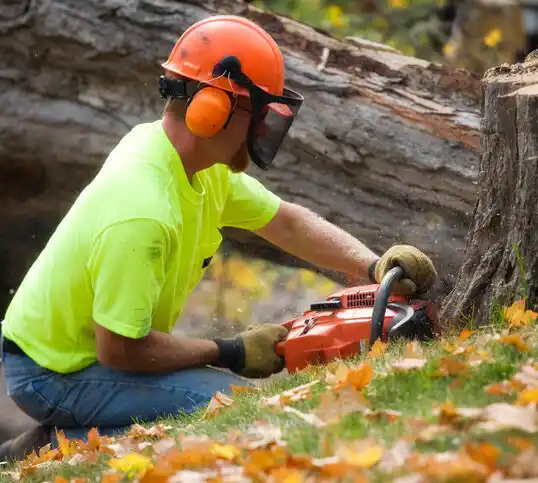 tree services Lutherville